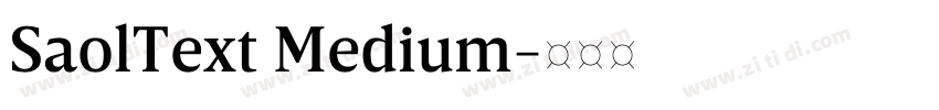 SaolText Medium字体转换